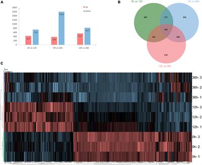 Comparative Transcriptomic and Proteomic Analysis of Exopalaemon carinicauda in Response to Alkalinity Stress